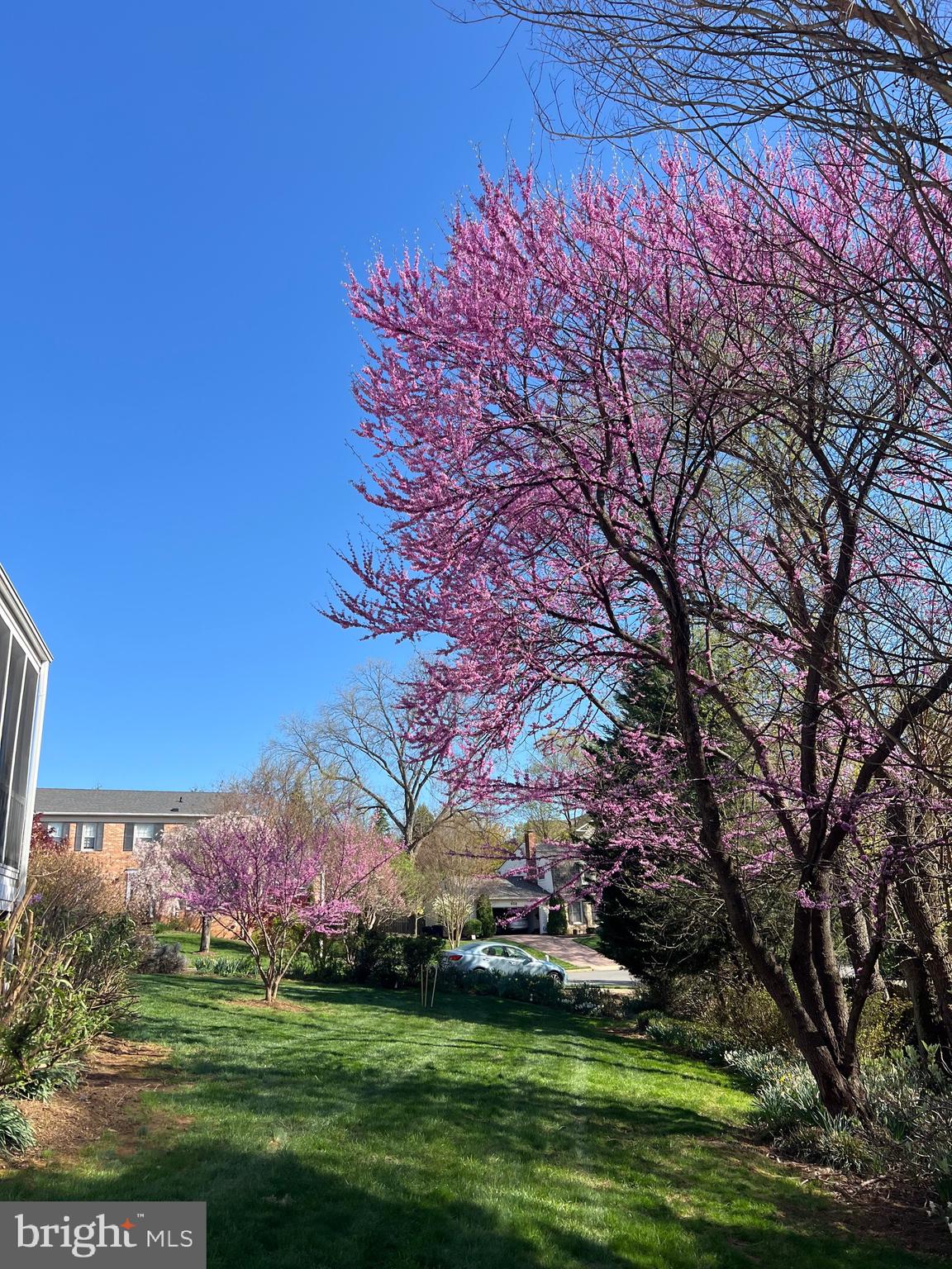 BEECHWOOD - Residential