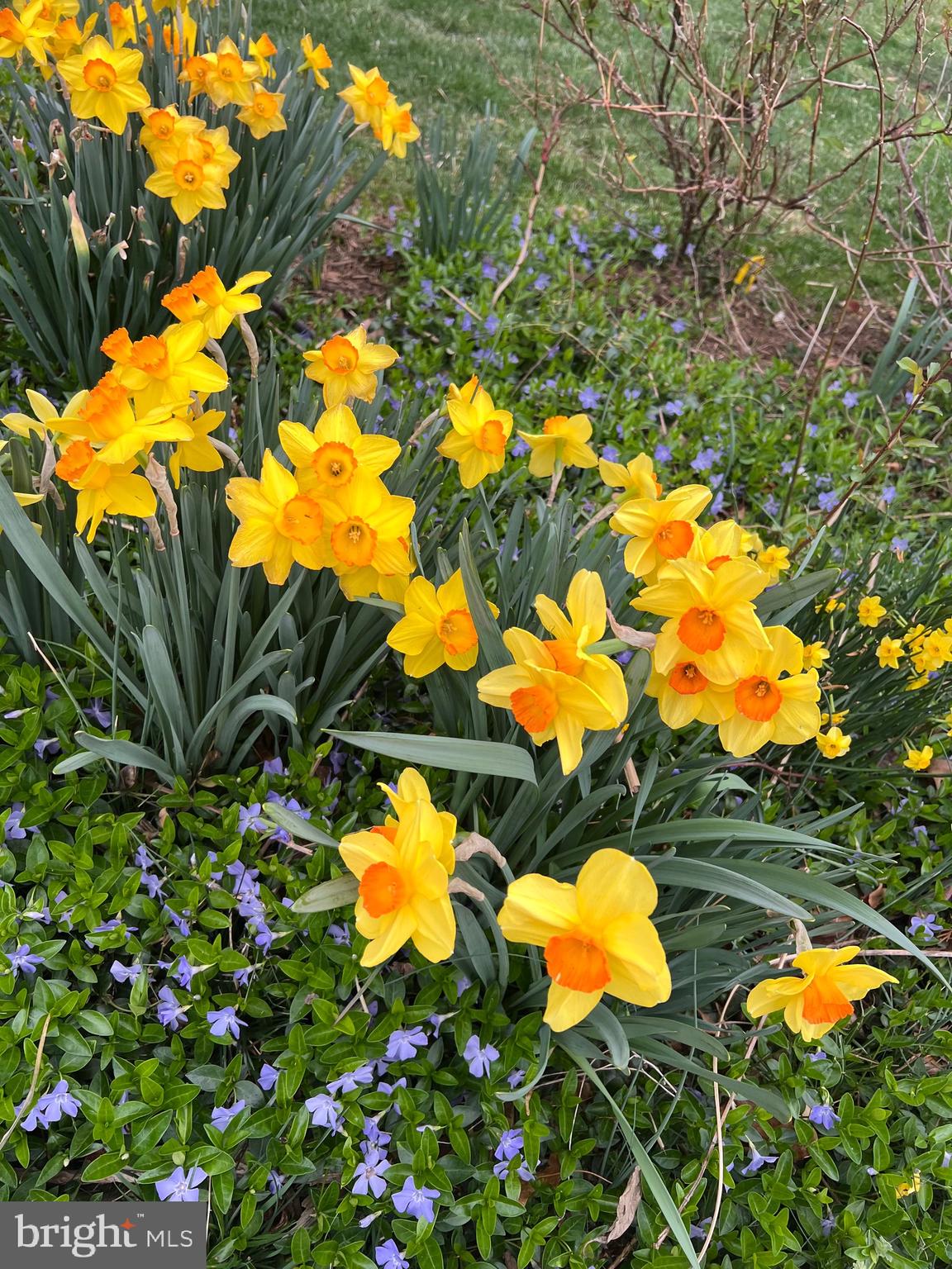 BEECHWOOD - Residential