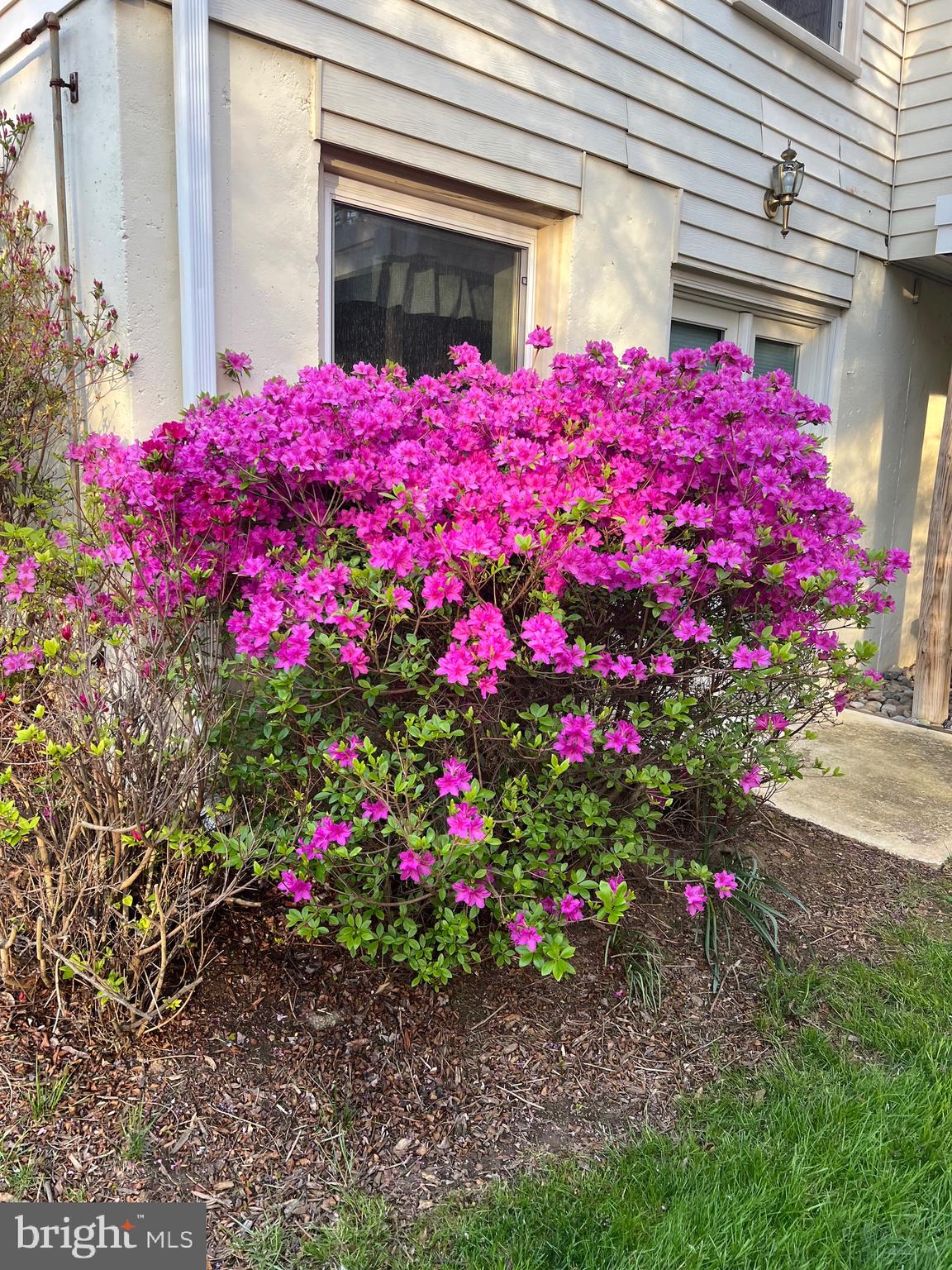 BEECHWOOD - Residential