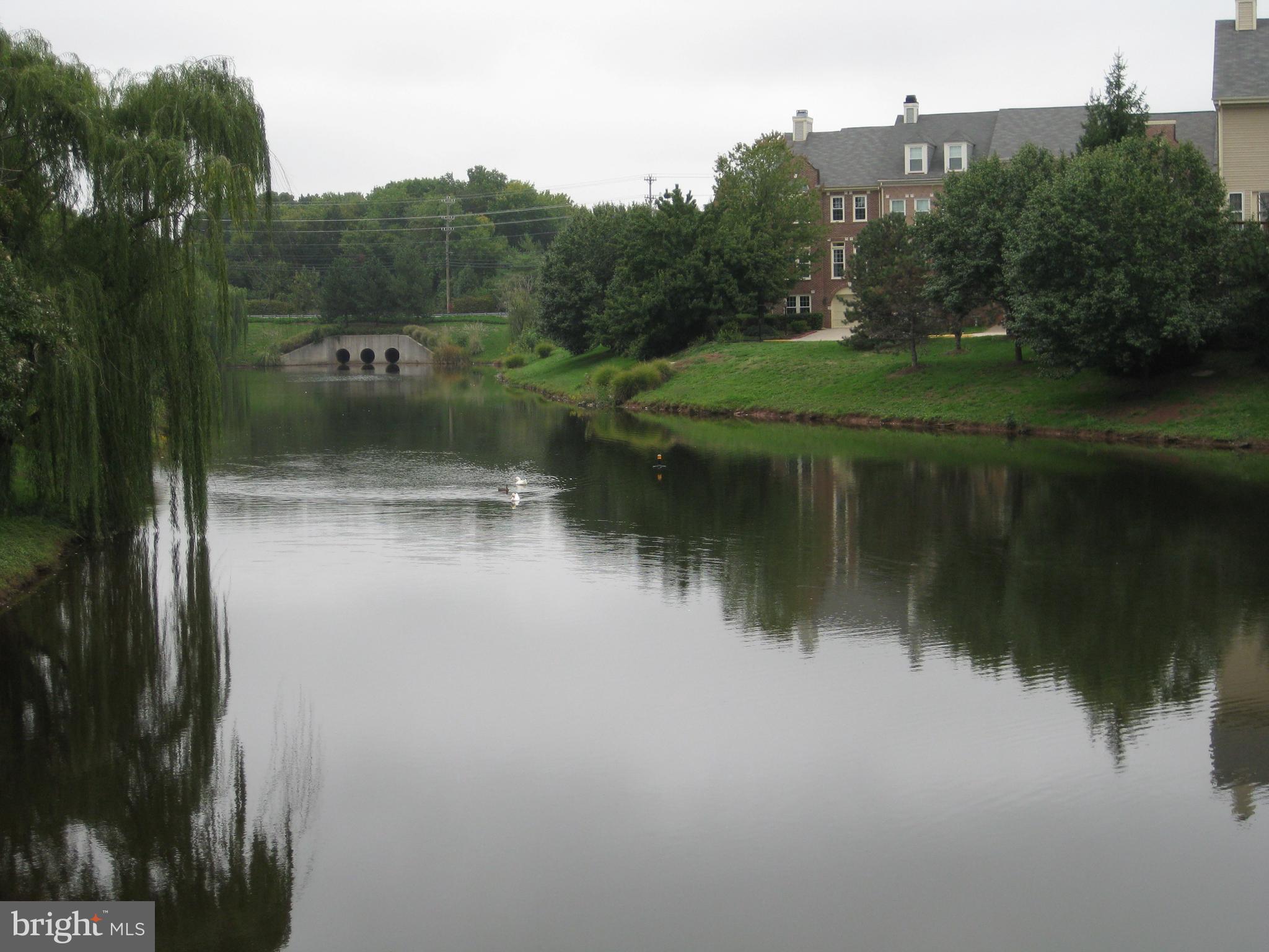 SULLY STATION - Residential Lease