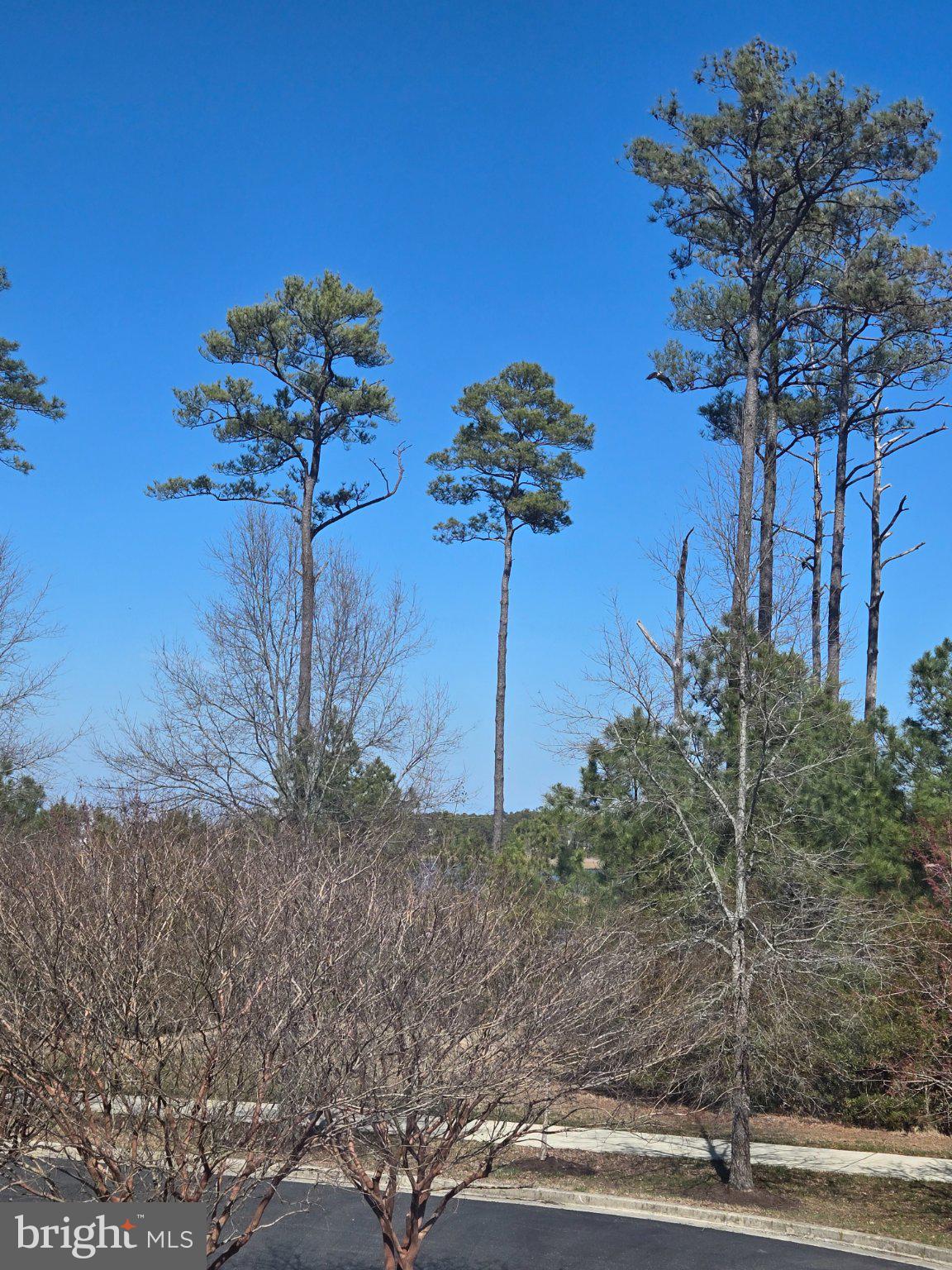 10900 HOLYSTONE LANE 402