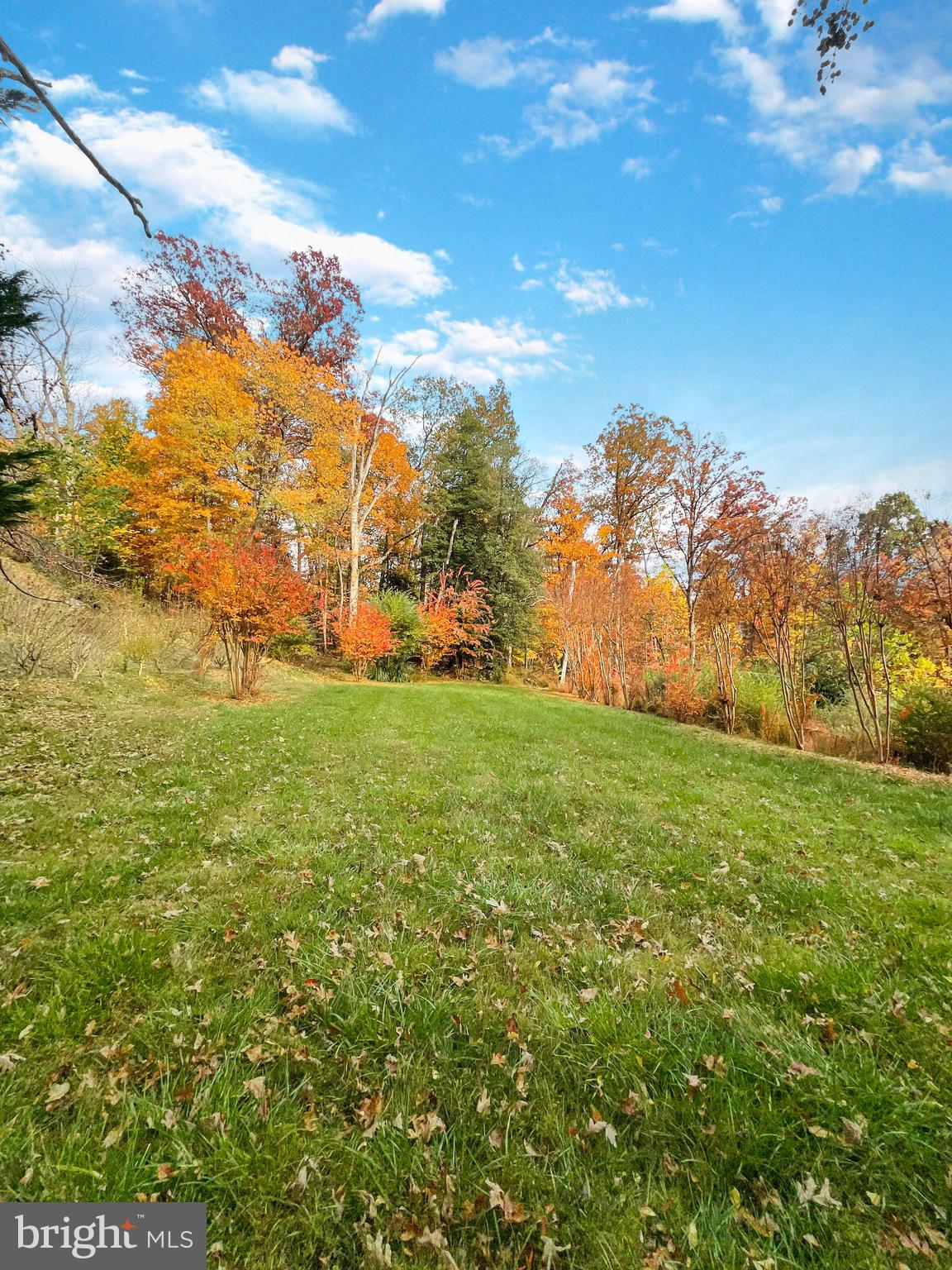 BELMONT BAY - Residential Lease