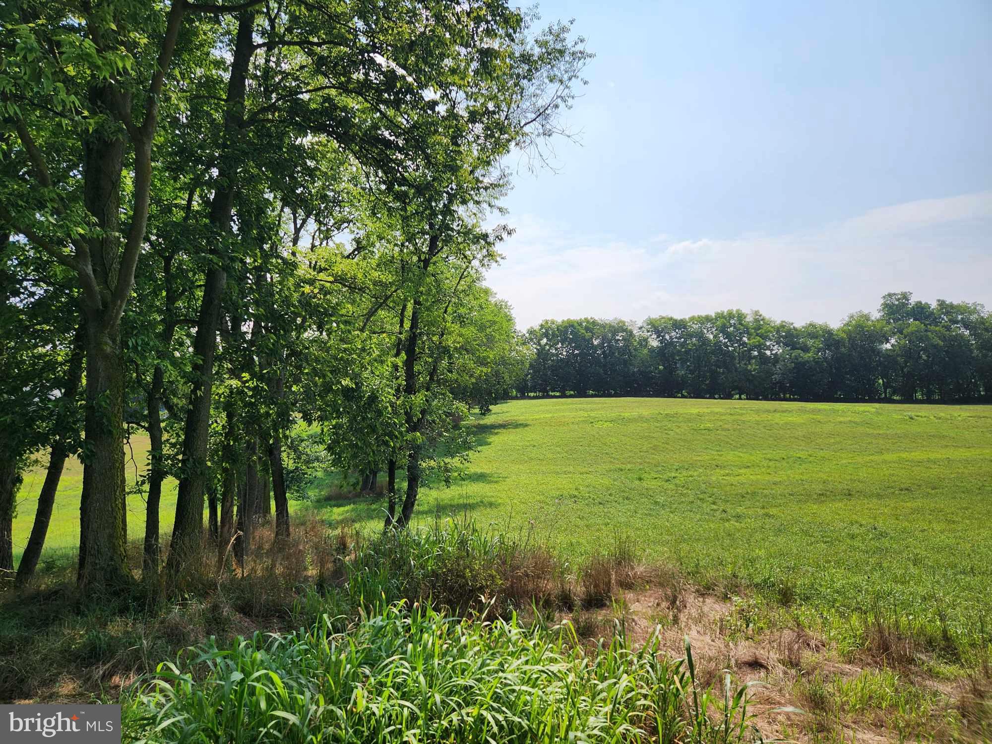 CEDAR HILLS EAST - Land