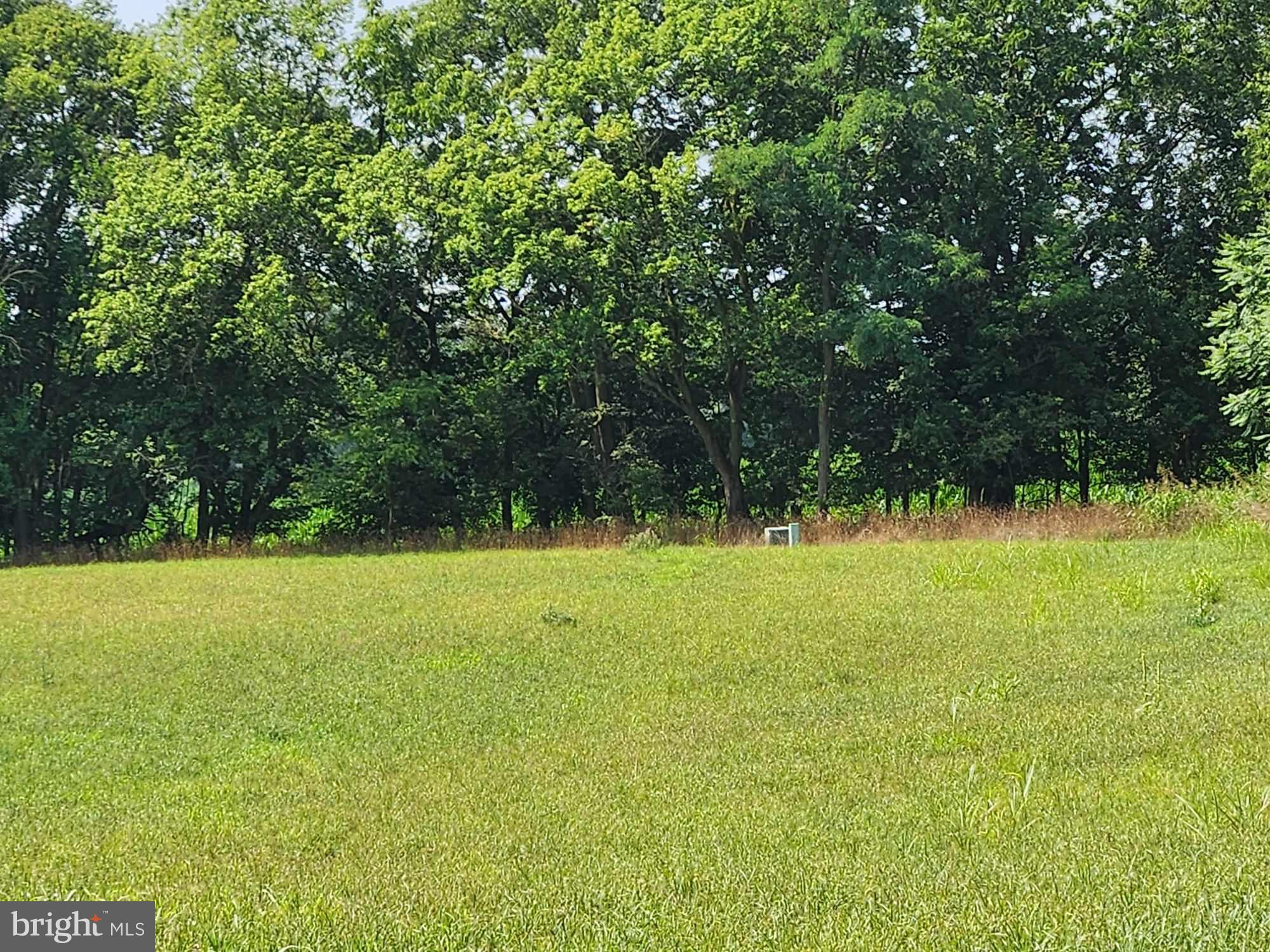 CEDAR HILLS EAST - Land