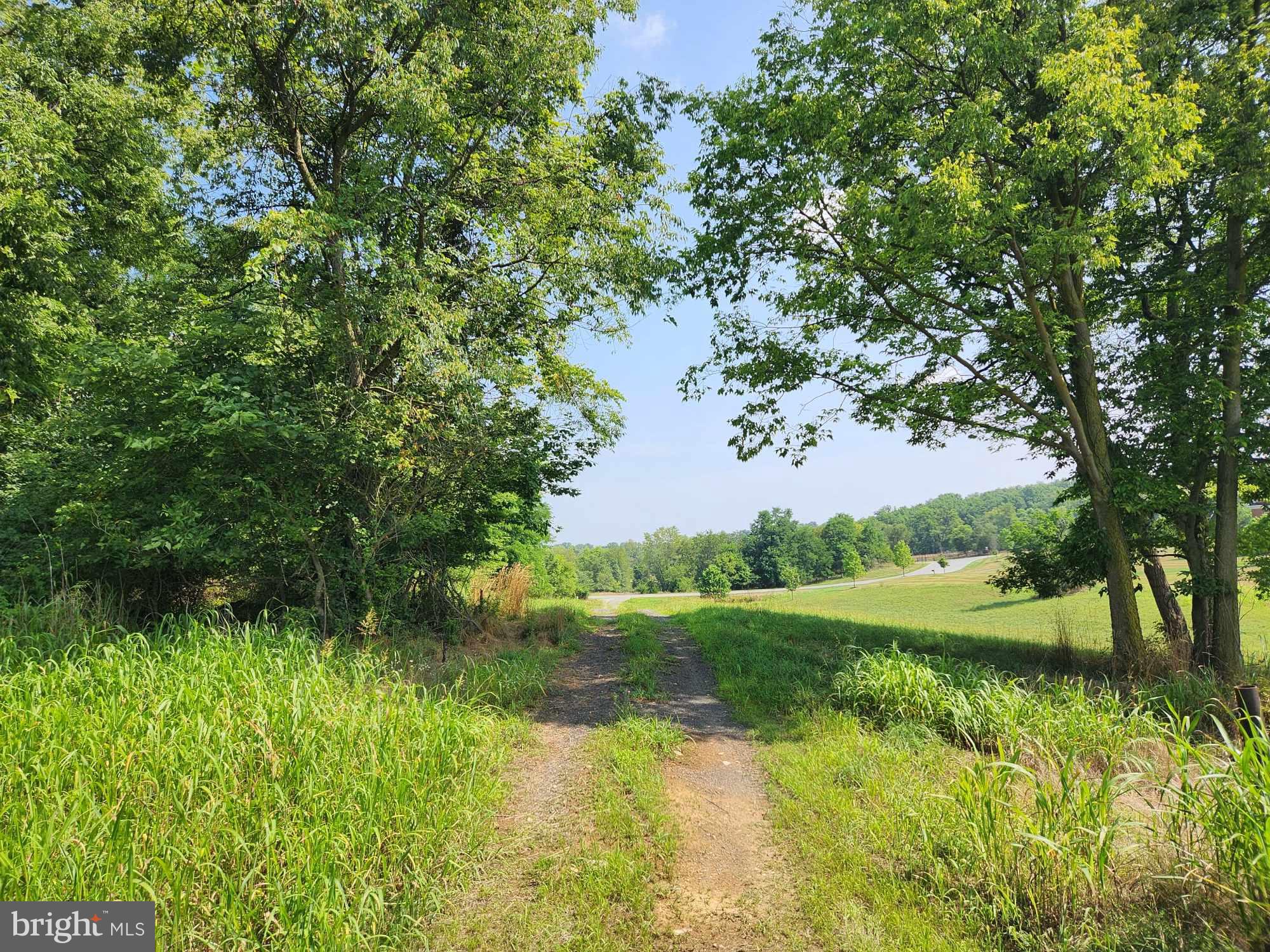 CEDAR HILLS EAST - Land