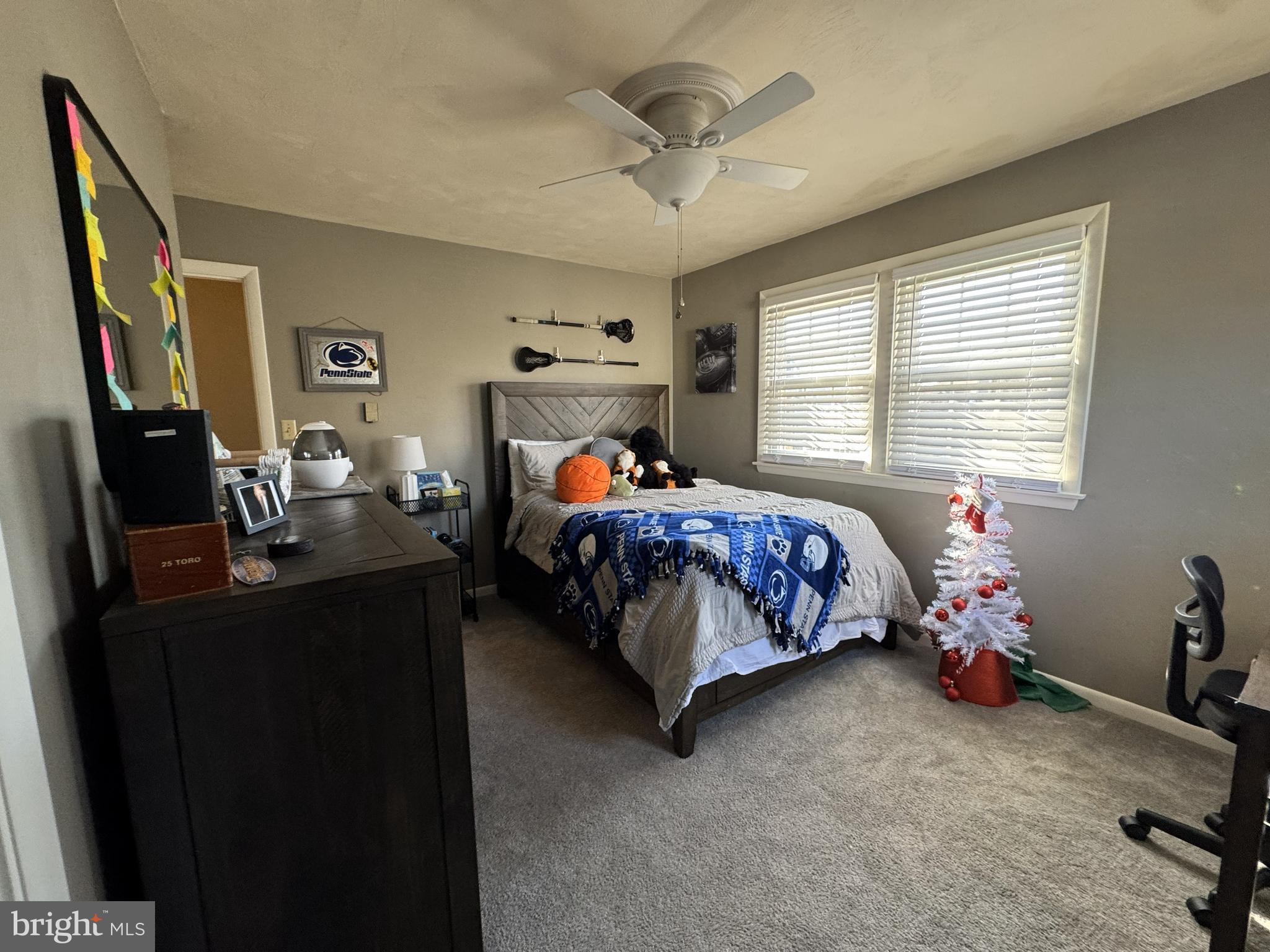 HAYMARKET - Residential