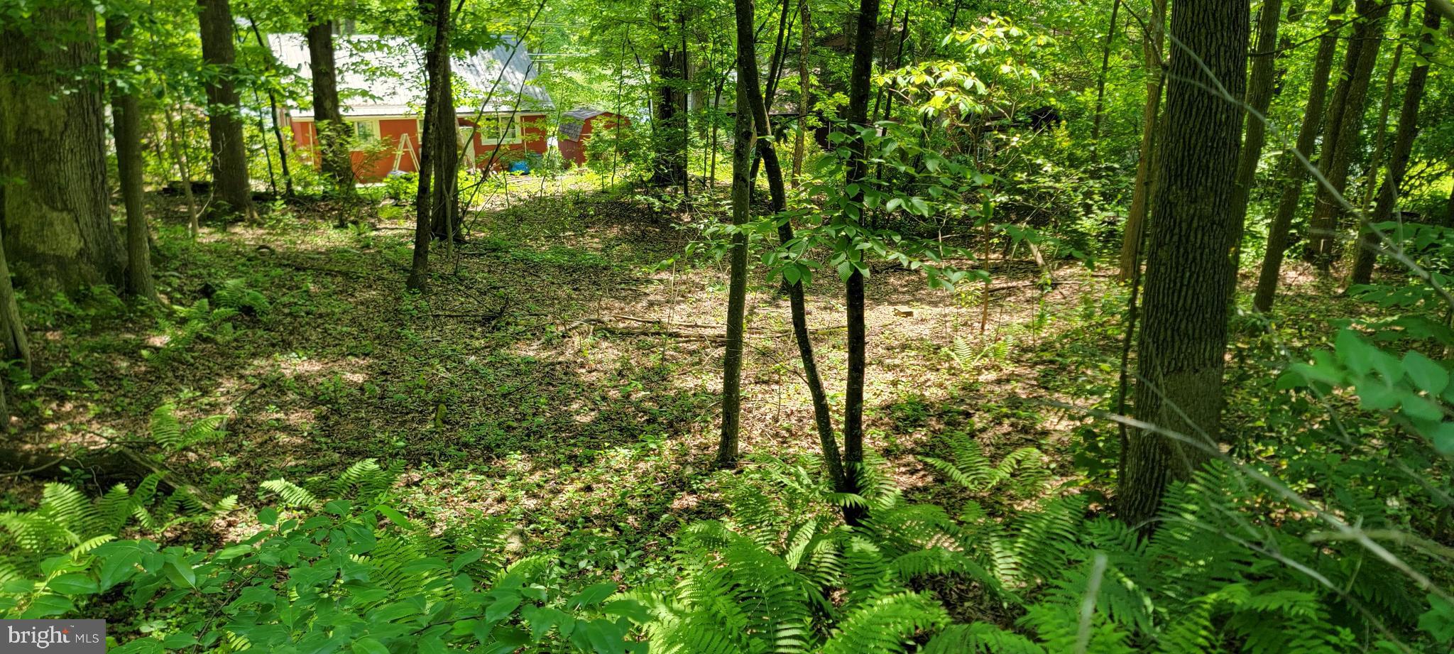 TBD Blue Sky LN BLUE SKY LANE