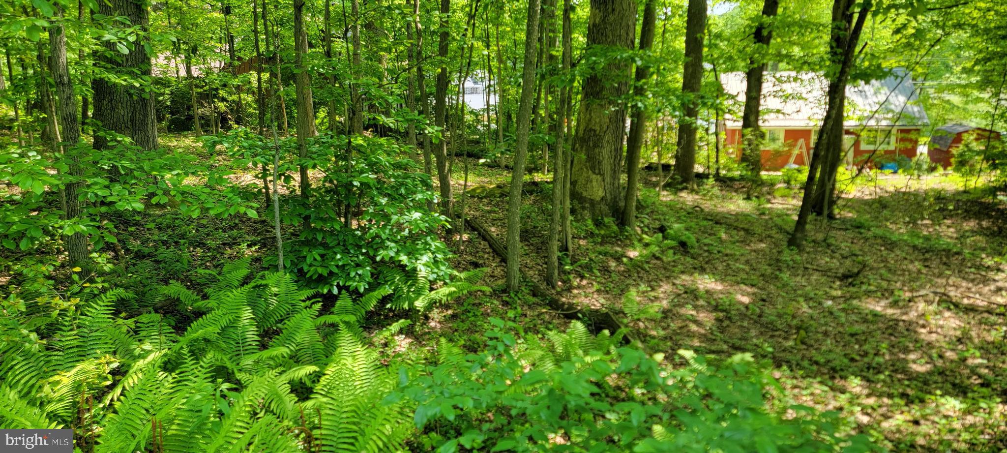 TBD Blue Sky LN BLUE SKY LANE