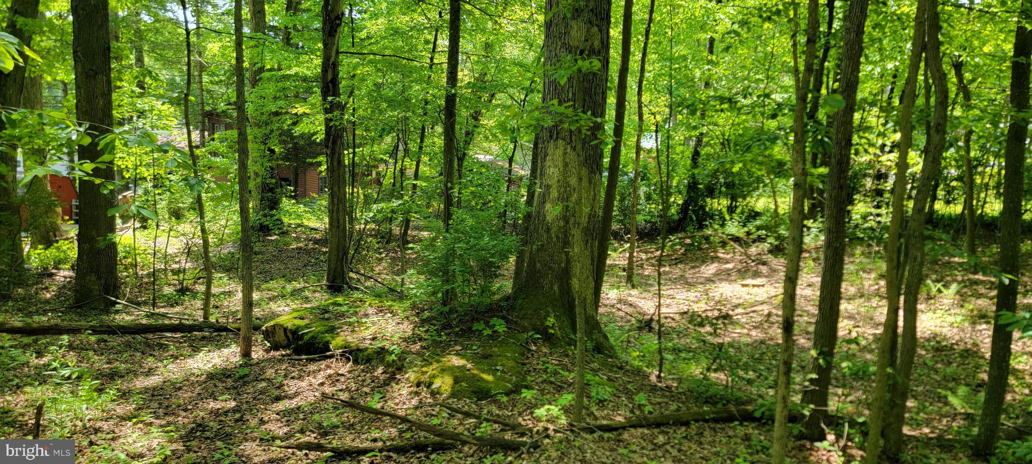 TBD Blue Sky LN BLUE SKY LANE