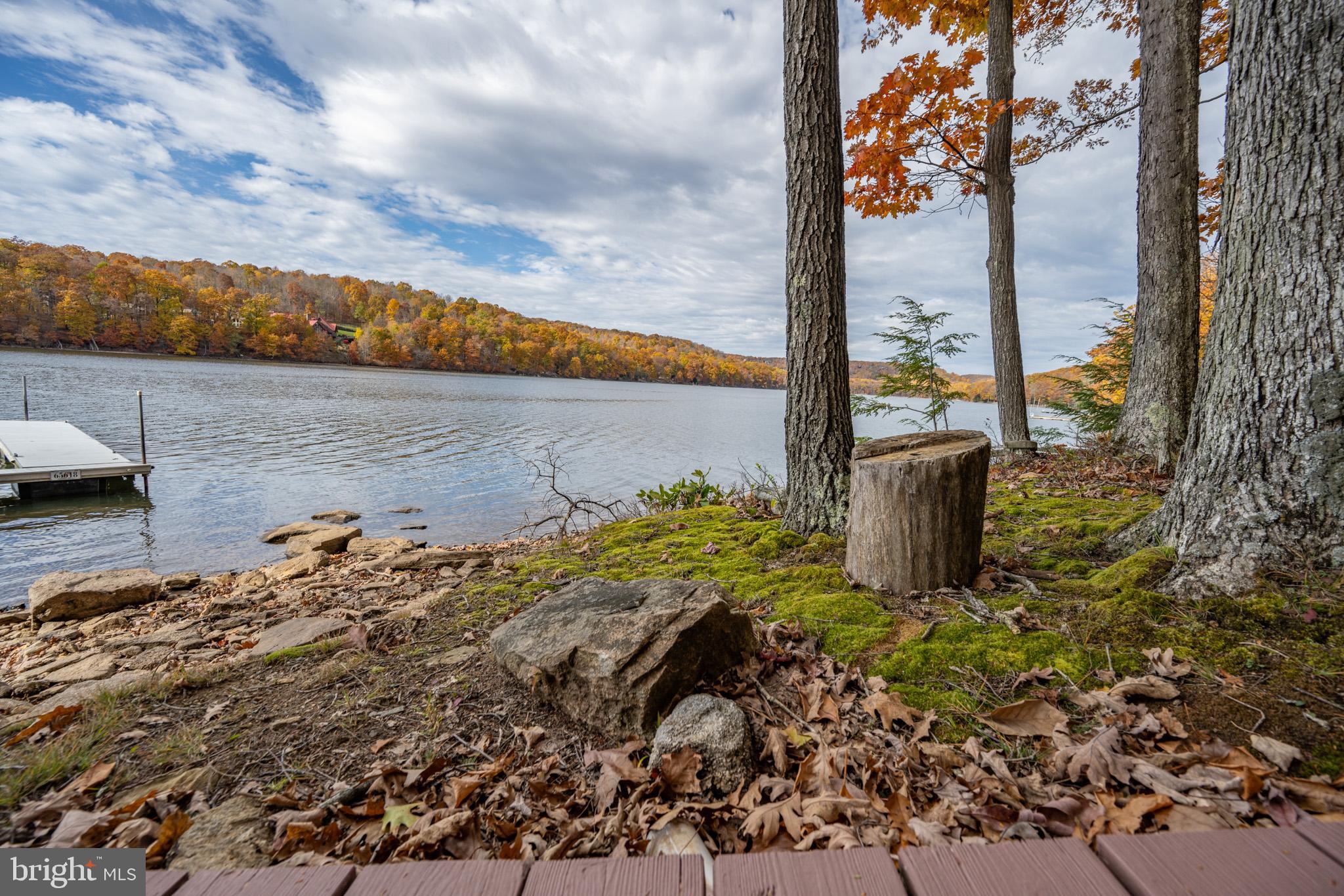 LAKE SHORE DRIVE - Residential
