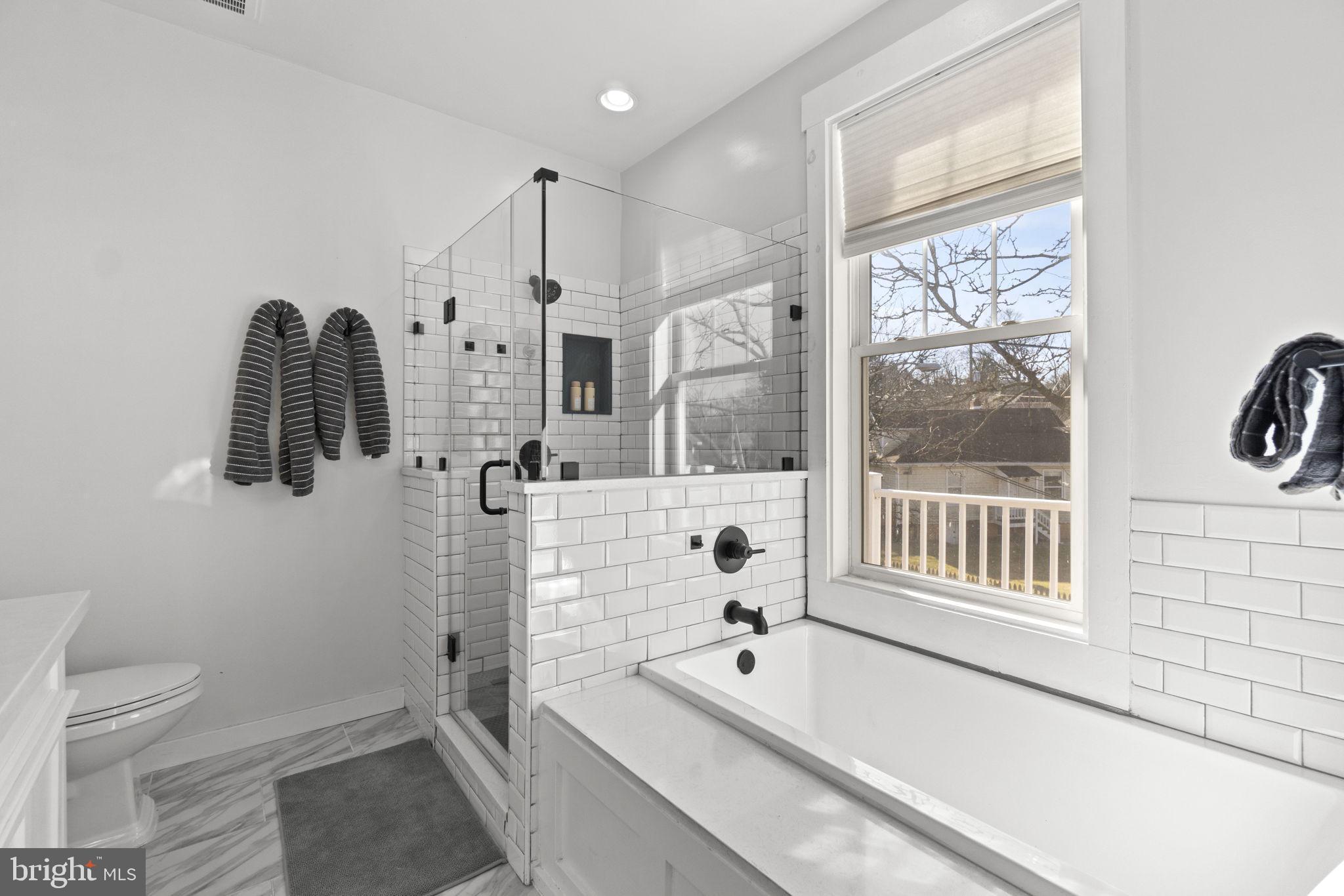 MOUNT RAINIER - Residential