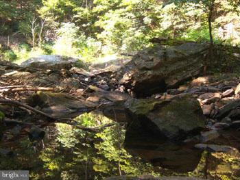 SPRUCE PINE HOLLOW - Land