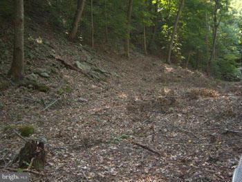 SPRUCE PINE HOLLOW - Land