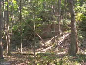 SPRUCE PINE HOLLOW - Land