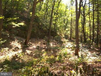 SPRUCE PINE HOLLOW - Land