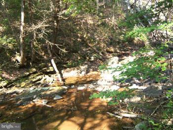 SPRUCE PINE HOLLOW - Land