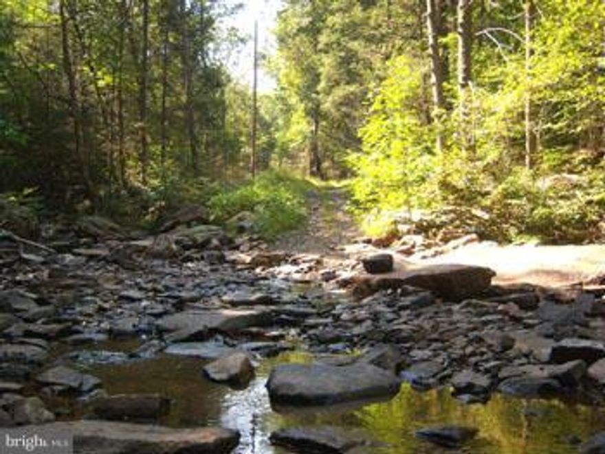 20.11 acres of WV Wilderness can be yours, an excellent lot for camping, bordered by a year long stream fed from the Sleepy Creek Lake. Adjoins Sleepy Creek WMA, for hunting and hiking and is the perfect property for those seeking privacy with the rugged outdoors. Call Today!