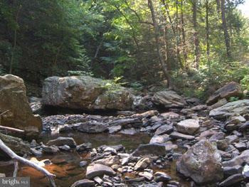 SPRUCE PINE HOLLOW - Land