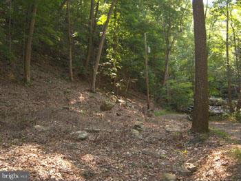 SPRUCE PINE HOLLOW - Land