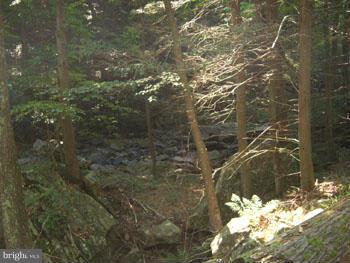 SPRUCE PINE HOLLOW - Land