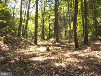 SPRUCE PINE HOLLOW - Land