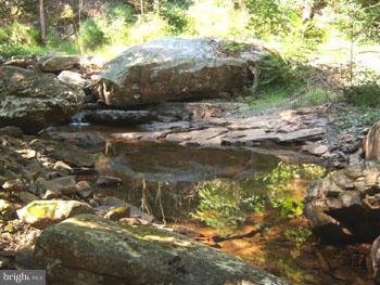 SPRUCE PINE HOLLOW - Land