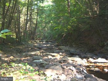 SPRUCE PINE HOLLOW - Land