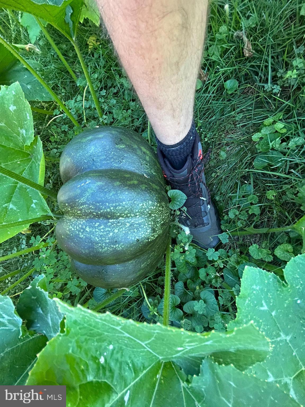 STERLING  PARK - Residential