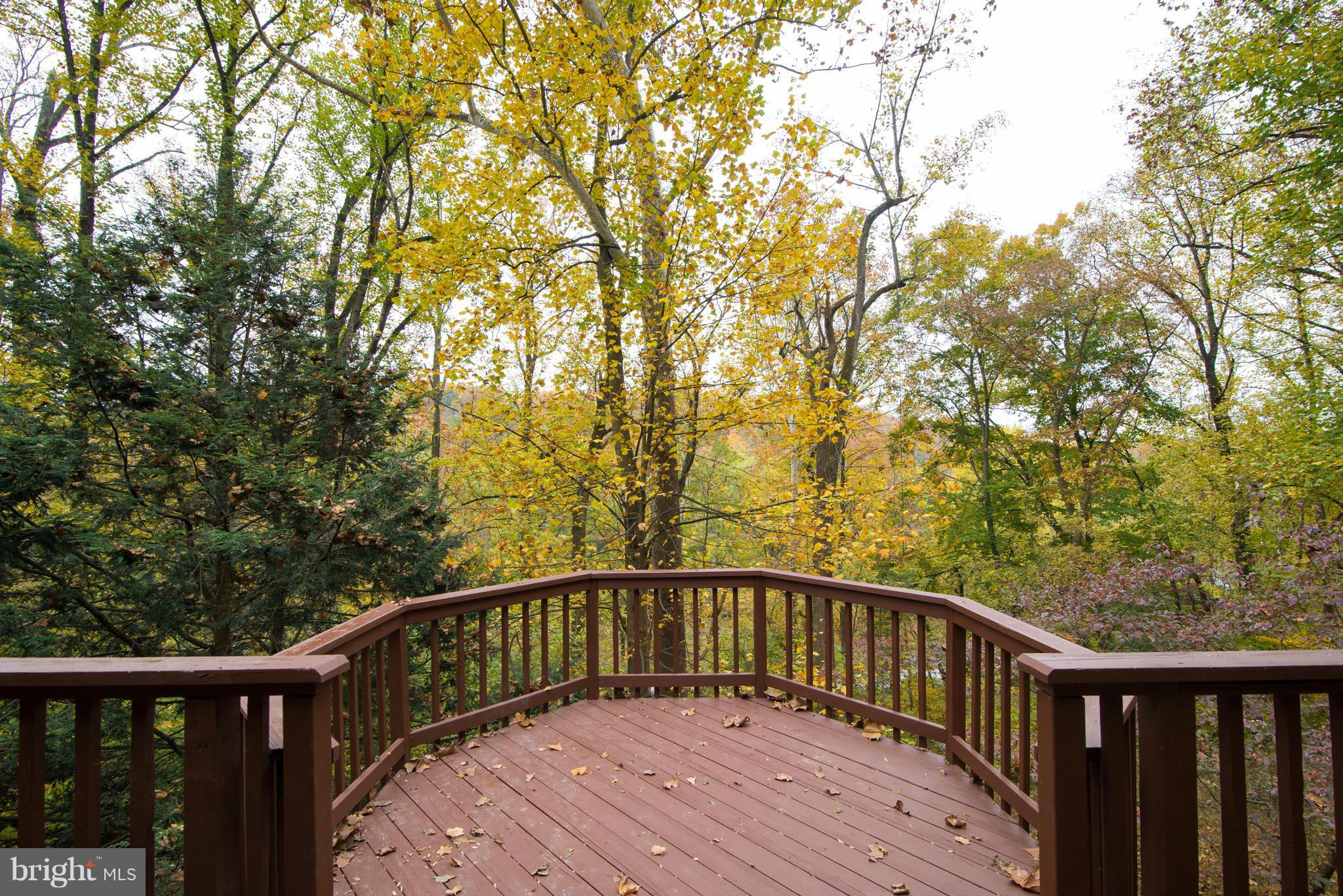 STEAMBOAT RUN - Residential