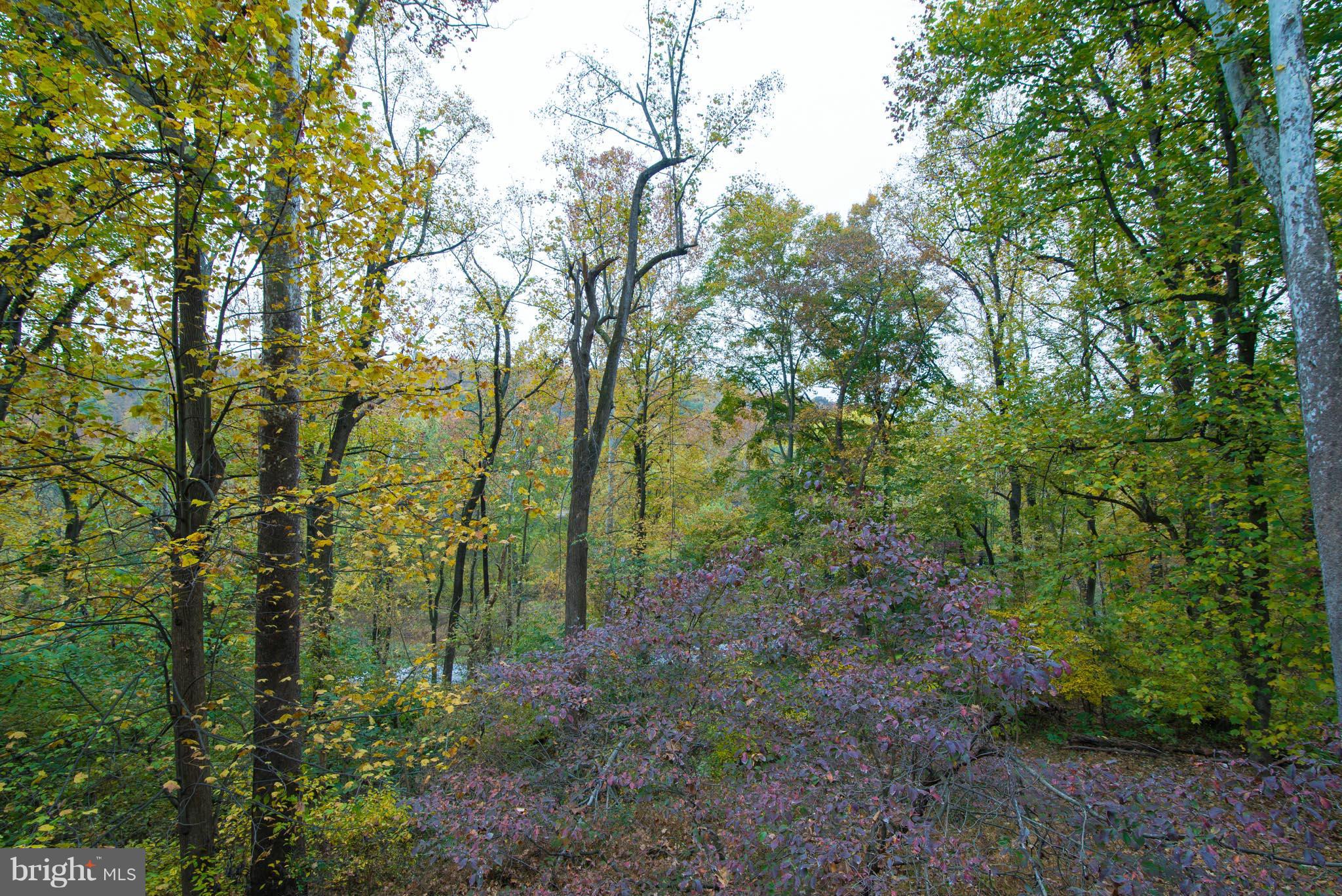 STEAMBOAT RUN - Residential