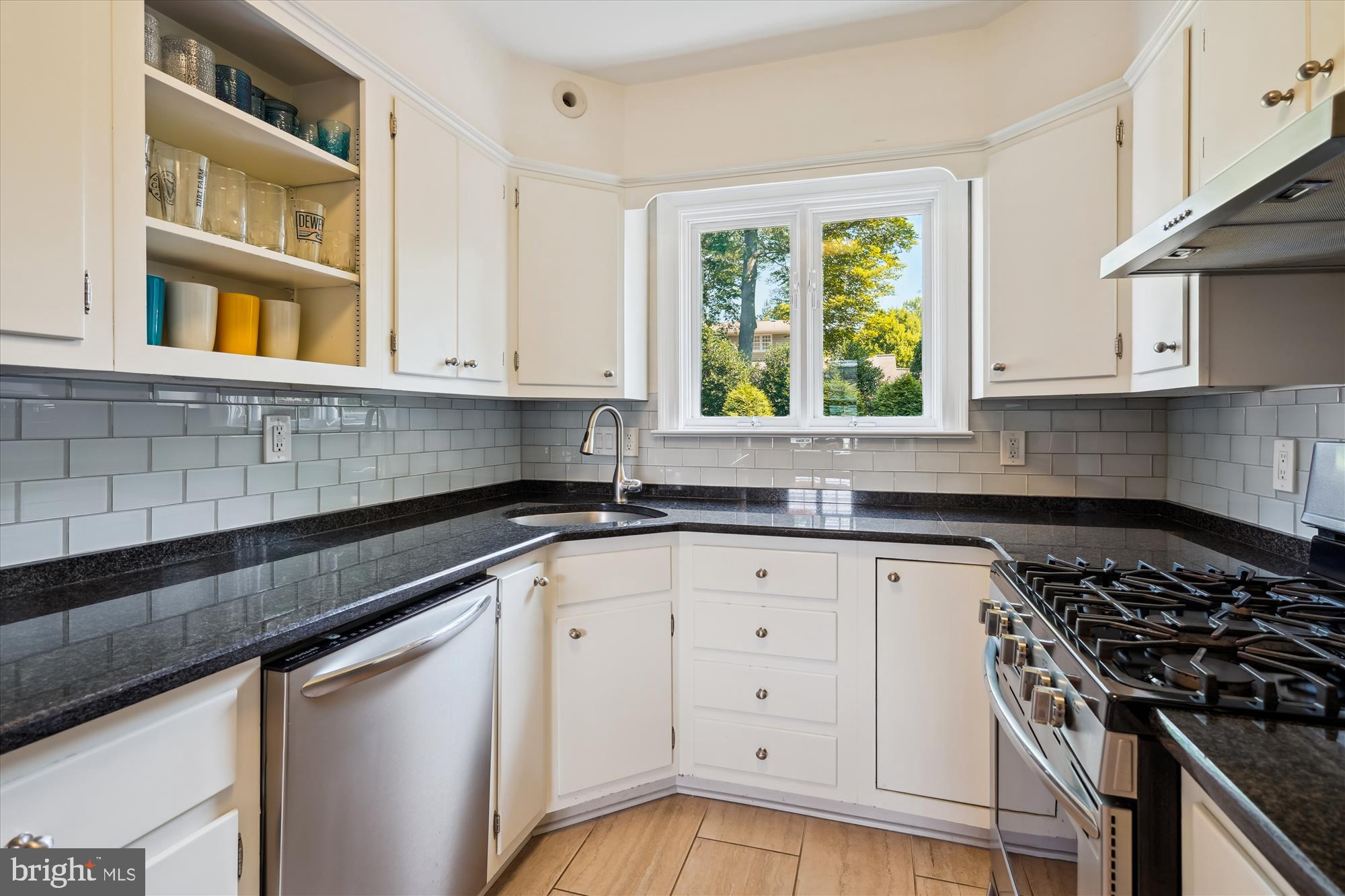 CHEVY CHASE VIEW - Residential