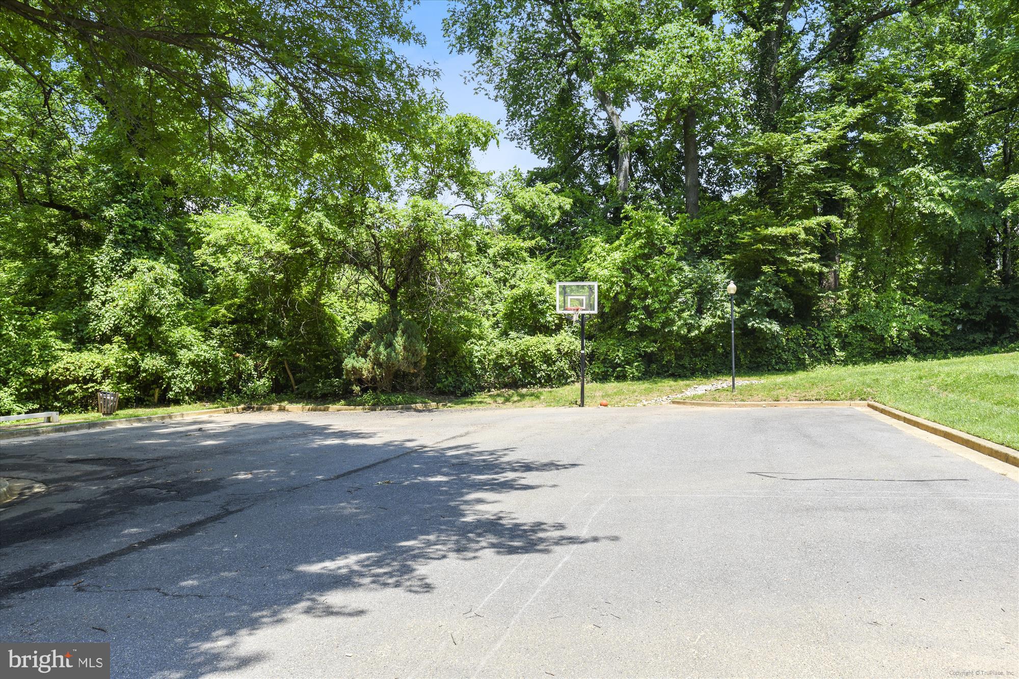 COLONIES AT MCLEAN - Residential