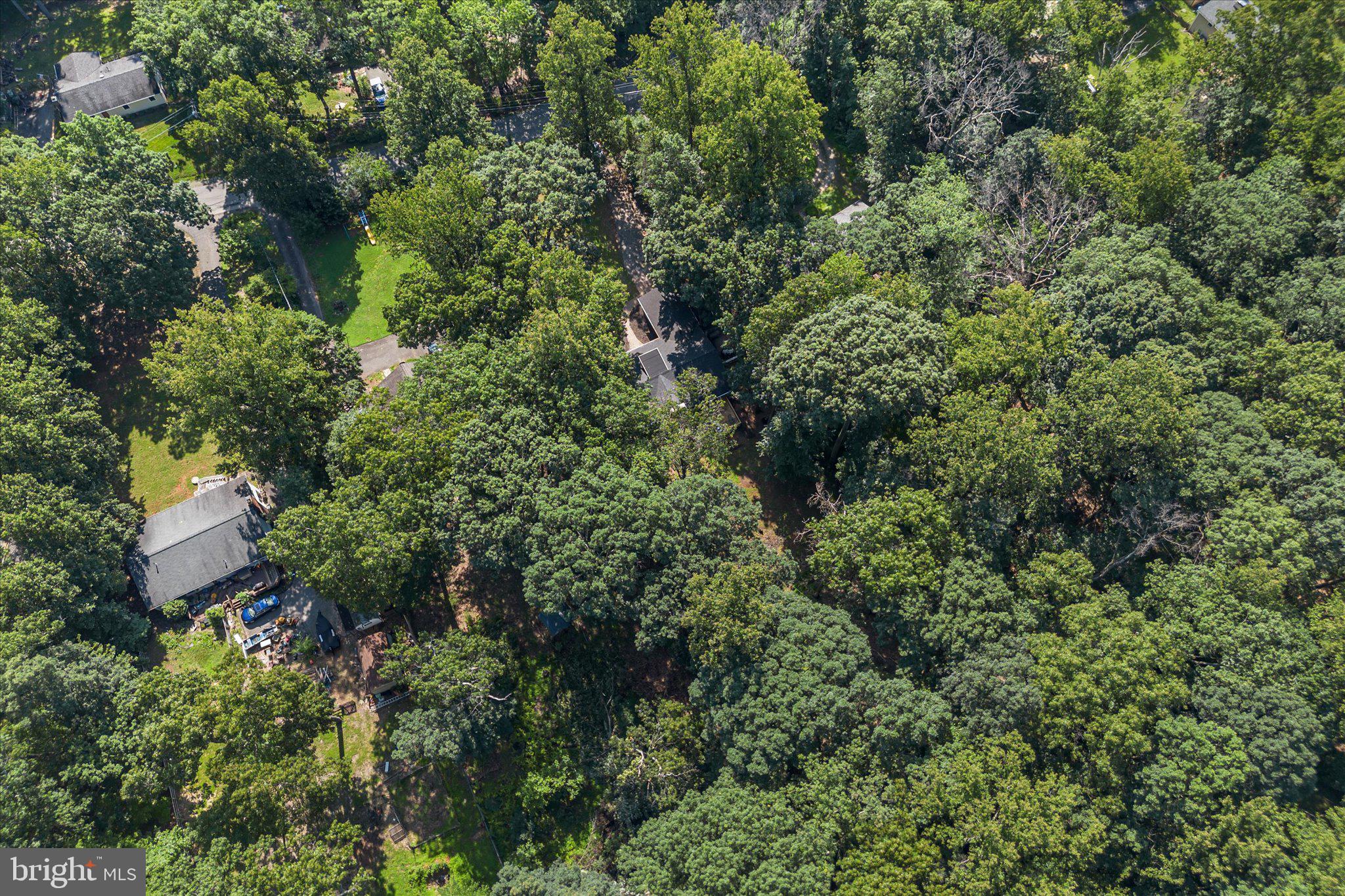 BULL RUN MOUNTAIN ESTATE - Residential