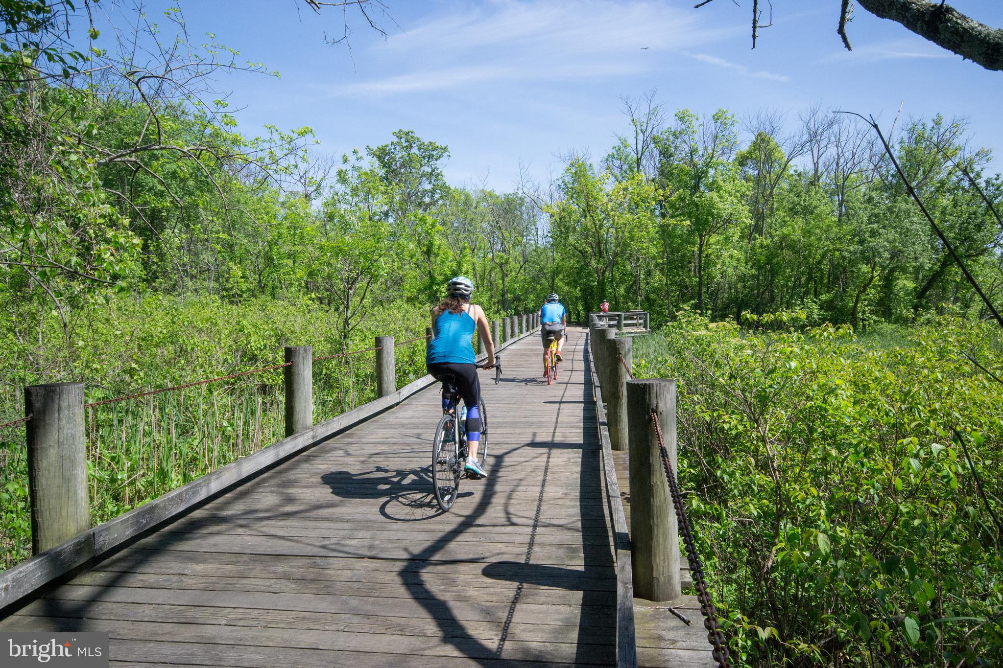 BELLE VIEW - Residential