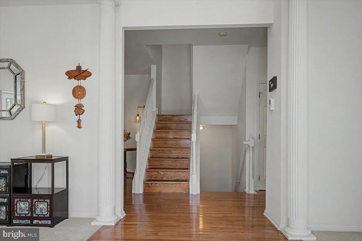 NORTH POINTE - Residential