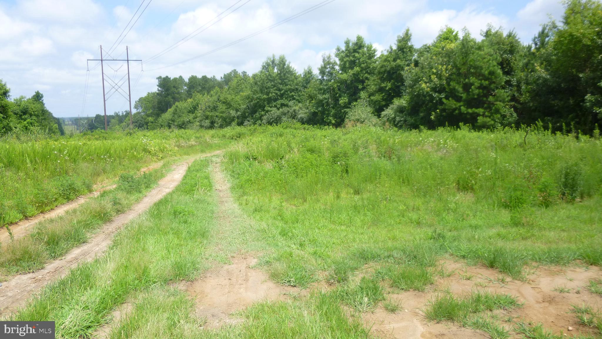 SANTA CRUZ ROAD