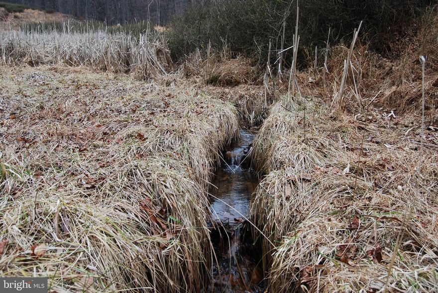 ***Adjoins Sleepy Creek WMA***
***Unrestricted***
***Conventional Perc***

Take a look at this large unrestricted lot sitting just minutes to The Woods. As you pull into the property you instantly notice large timber and a small knoll that would make a great location for a home or weekend cabin. Another outstanding feature is the long stretch of land that adjoins Sleepy Creek WMA. This gives the hunter or adventurer ample more land to explore or hunt.