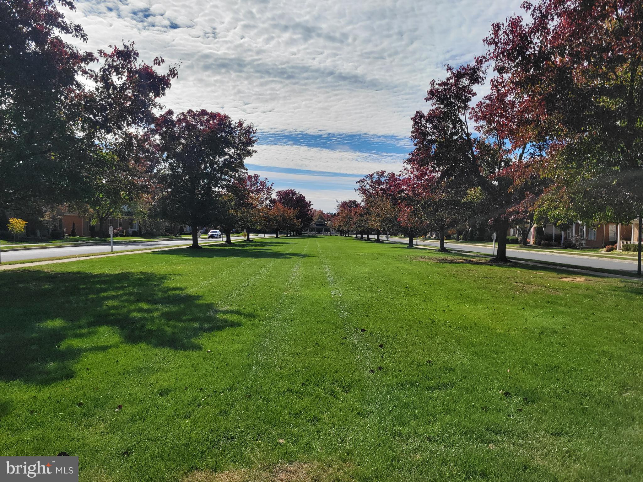 GREENWICH PARK - Residential
