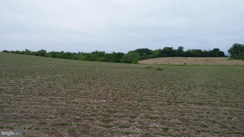 76 acres with 63 tillable acres. Great location at the end of town. Beautiful setting. A good place for chickens, hogs or dairy.