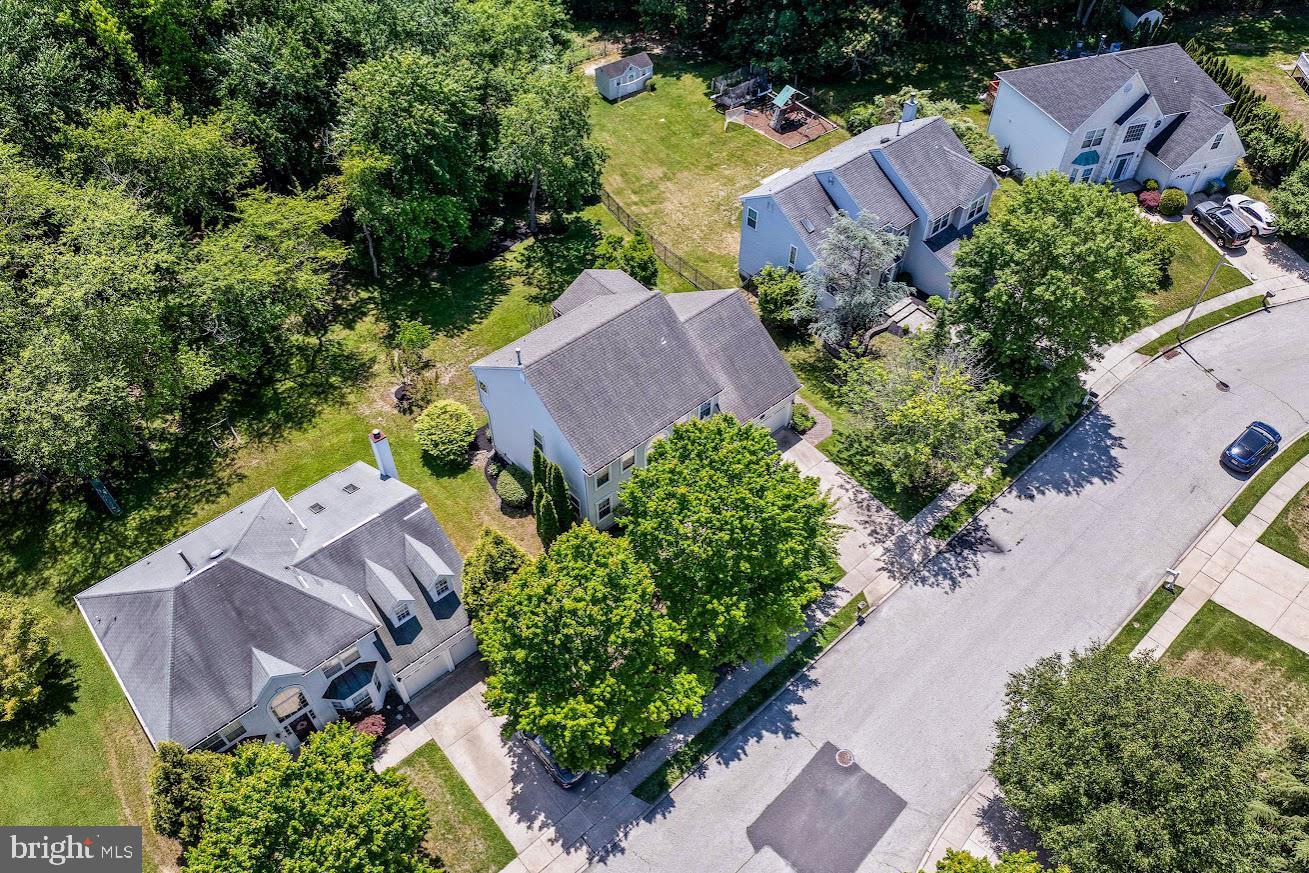 7 CAVESSON TRAIL