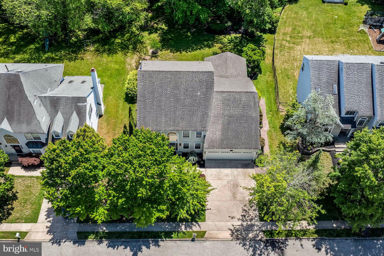 7 CAVESSON TRAIL