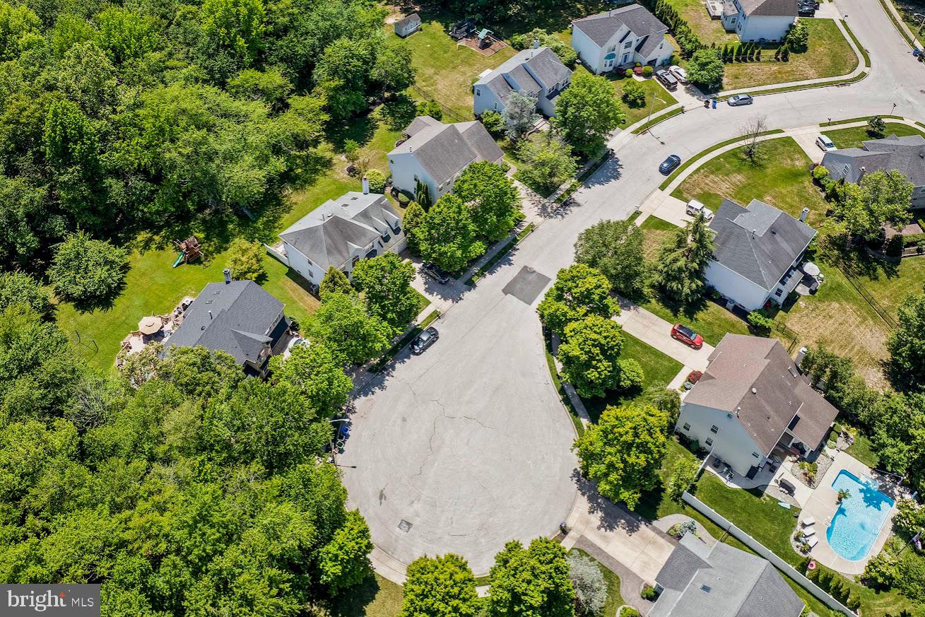 7 CAVESSON TRAIL