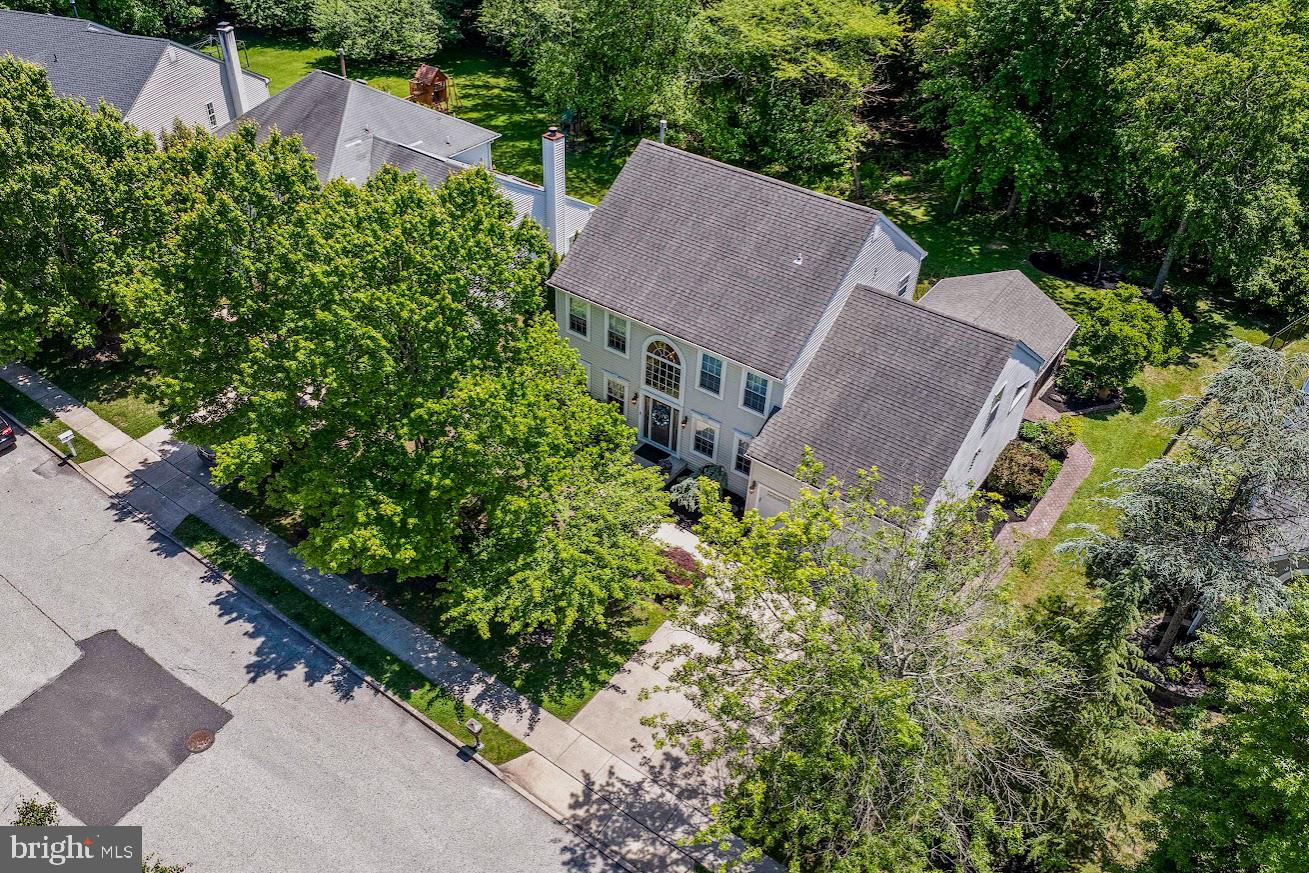 7 CAVESSON TRAIL