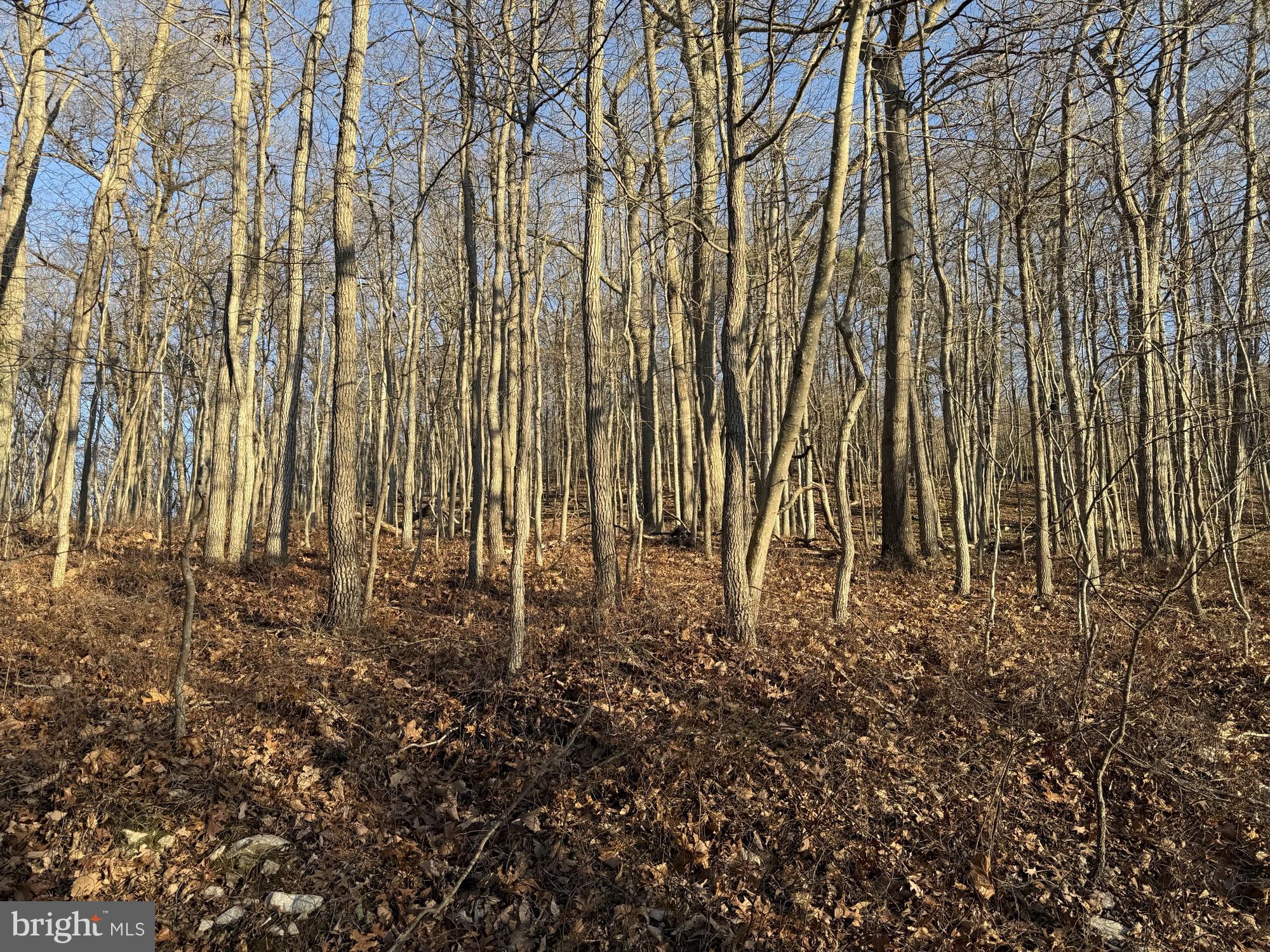 Lot 59,60 & 61 BALDWIN ROAD