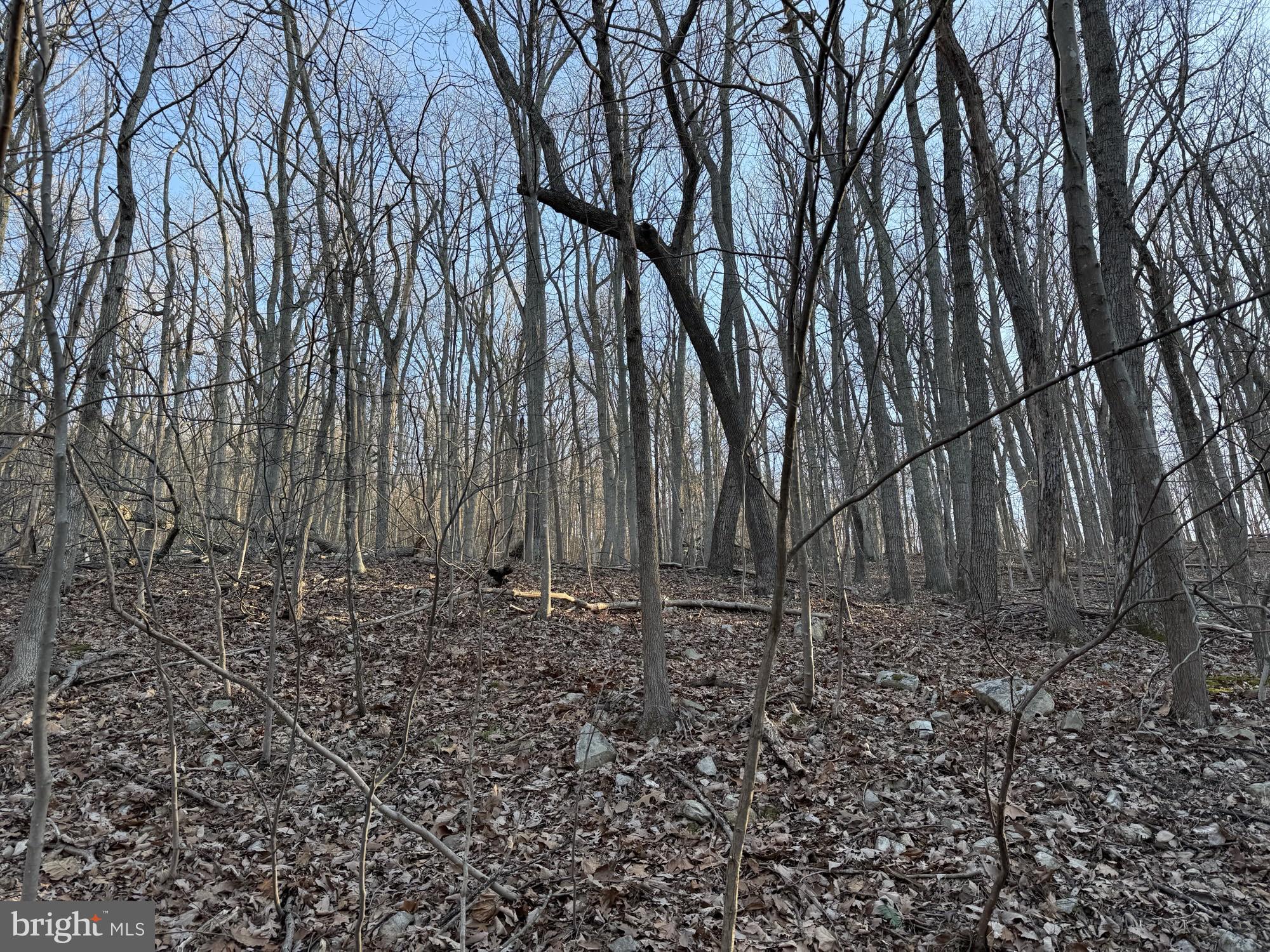 Lot 59,60 & 61 BALDWIN ROAD