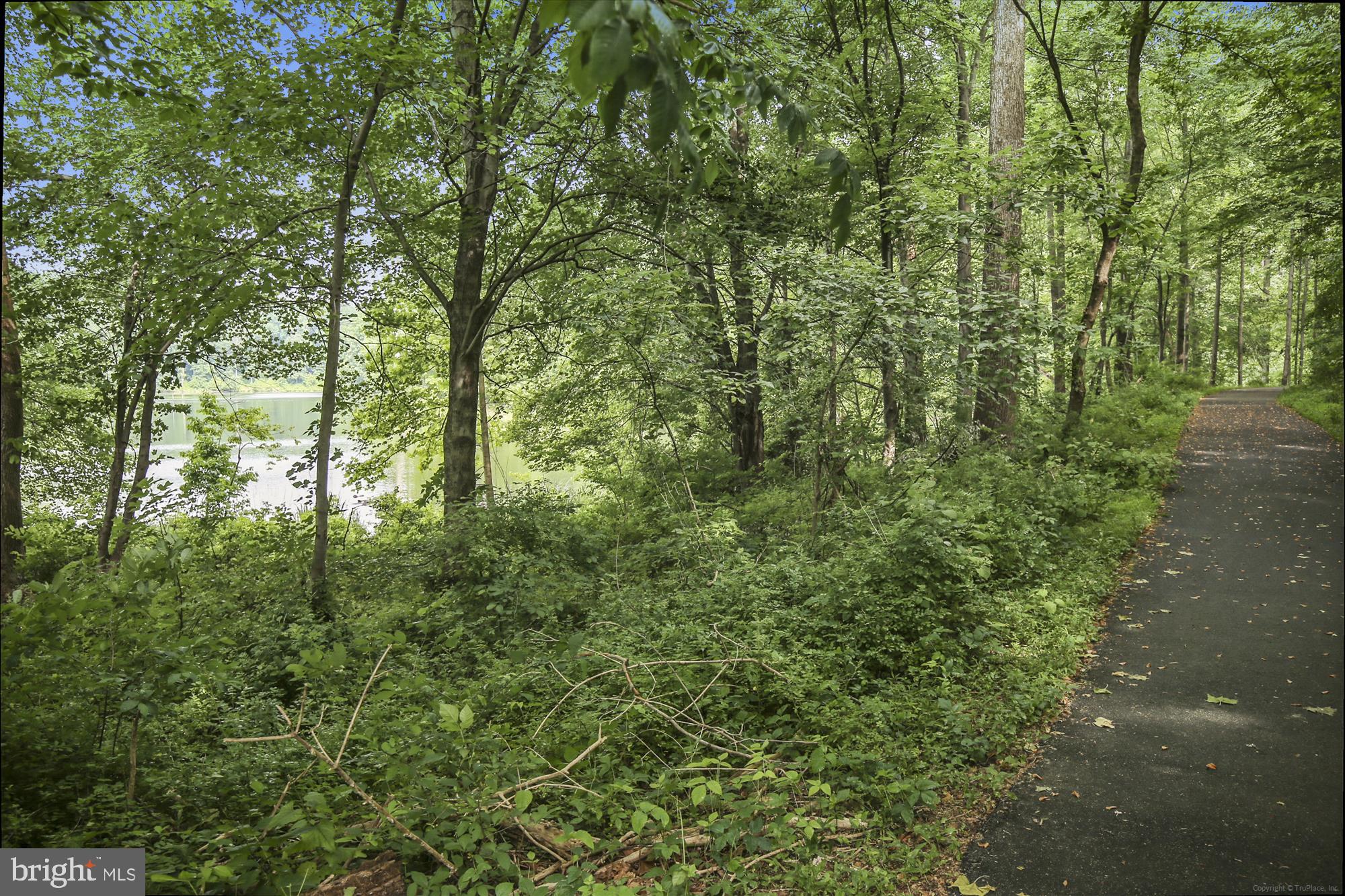 SOUTH SHORE HARBOUR CODM - Residential