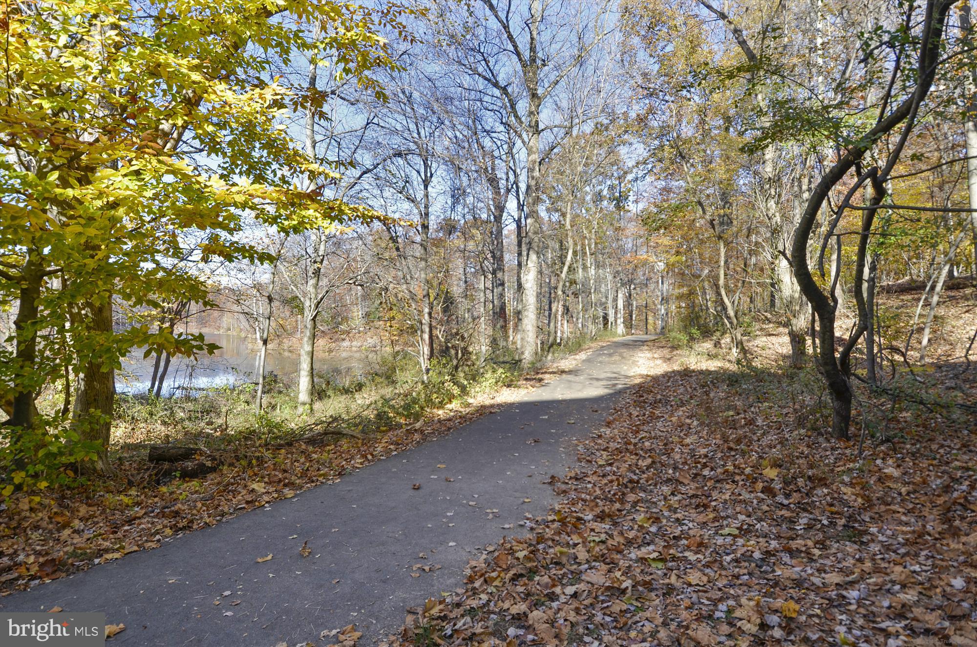 SOUTH SHORE HARBOUR CODM - Residential
