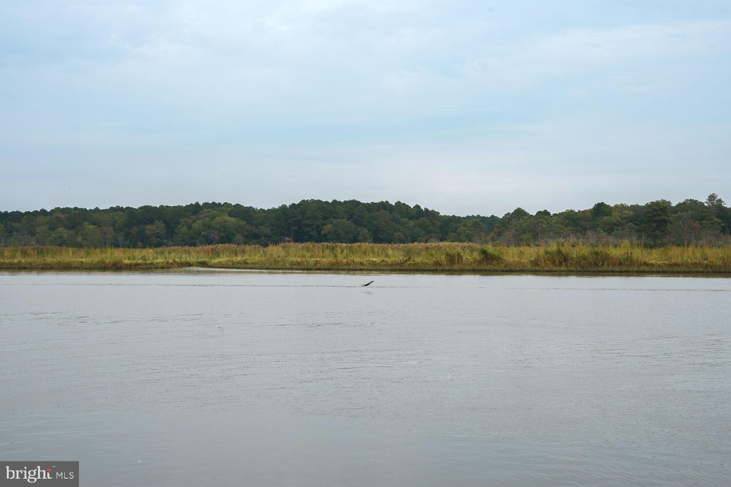 HIGH BANKS - Residential