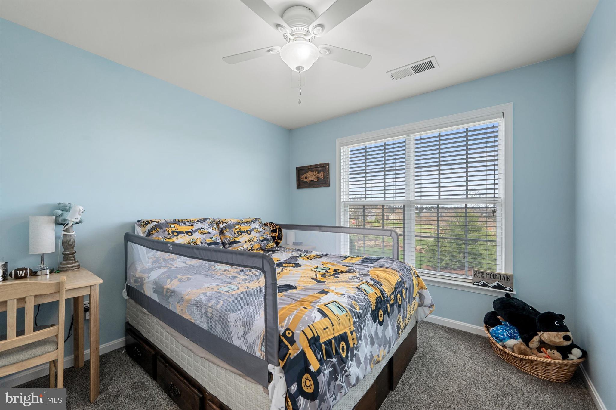 BLUE RIDGE SHADOWS TOWNS - Residential