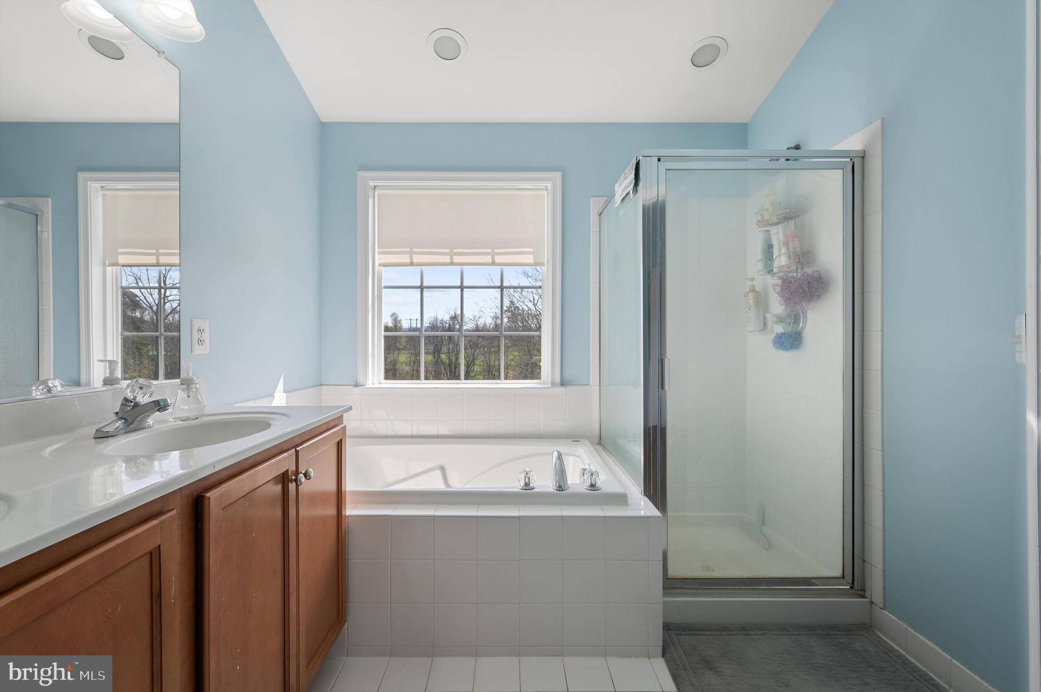 BLUE RIDGE SHADOWS TOWNS - Residential